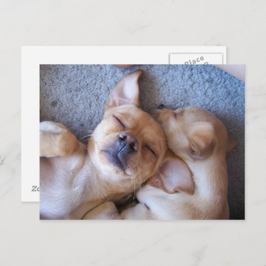 ZEIT POSTKARTE (Vorne/Hinten)