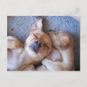 ZEIT POSTKARTE (Vorderseite)