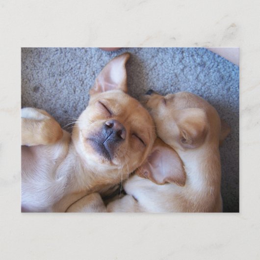 ZEIT POSTKARTE (Vorderseite)