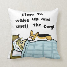 Zeit, um den Corgi Wecken und zu riechen