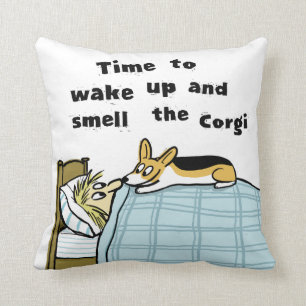 Zeit, um den Corgi Wecken und zu riechen Kissen