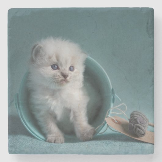 Zeit zu spielen steinuntersetzer (Vorderseite)