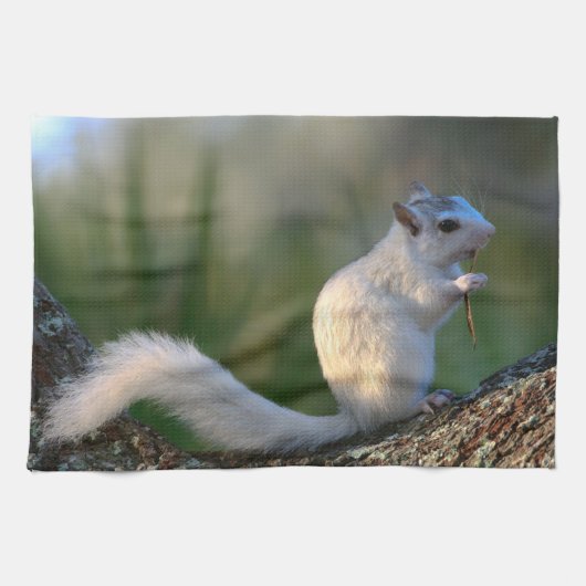 Zeit zu tanzen! geschirrtuch (Horizontal)