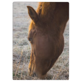 Zeit zum Essen Klemmbrett (Rückseite)