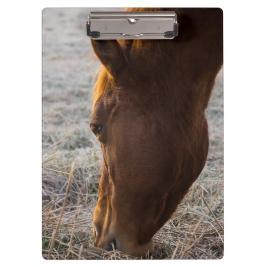 Zeit zum Essen Klemmbrett (Vorderseite)