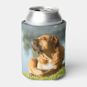 Zeit zum Schütteln! Dosenkühler (Kanne Vorderseite)