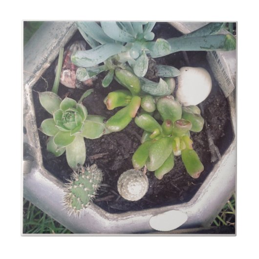 Zeit zum Tee?Ein gepflanzter Teekessel Fliese (Vorderseite)