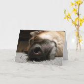 Zeit zum Weck der Geburtstagskarte Karte (Gelbe Blume)