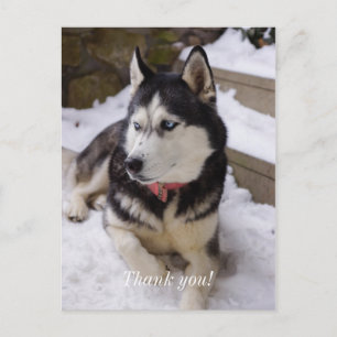 Zeit zur Erholung Danke Postcard Postkarte