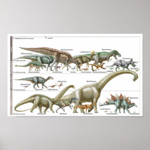 Zeitachse der Dinosaurier Jurassic Biologie Poster