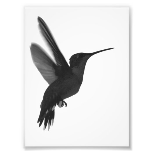 Zeitgefroren Fotodruck (Vorne)