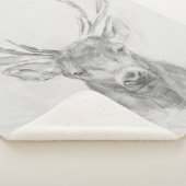 Zeitgenössische Elch-Skizze Sherpadecke (3/4)