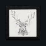 Zeitgenössische Elk Sketch Erinnerungskiste<br><div class="desc">Zeitgenössische Elk Sketch II von Ethan Harper. Enthält das Porträt eines Elchs,  der mit Bleistift skizziert wurde.</div>