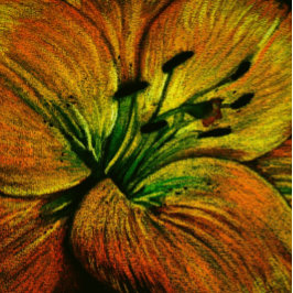 zeitgenössische große, abstrakt-gelb-orange Blume Kissen