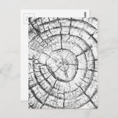 Zeitgenössische Kollektion mit schwarzem und weiße Postkarte (Vorne/Hinten)