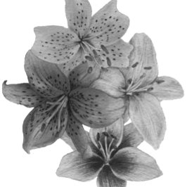 zeitgenössische Kunst in Schwarz und Weiß Tasche