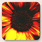 zeitgenössischer Sonnenblumenkernkopf und Blätter Getränkeuntersetzer (Vorderseite)