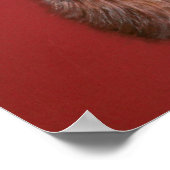 Zeitgenössisches Hochlandposter Poster (Ecke)