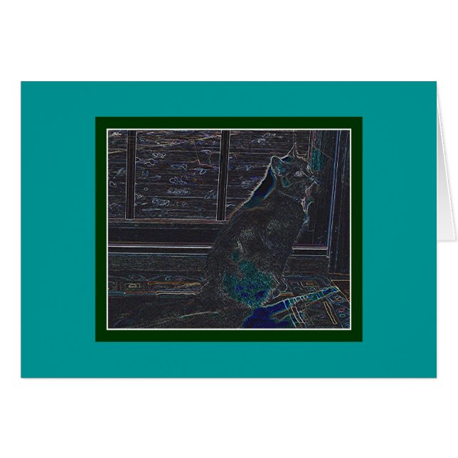 Zeitgenössisches Kittie (Vorderseite (Horizontal))