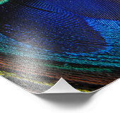 Zeitgenössisches Pfauenbecken Nah-up Foto Art (Ecke)