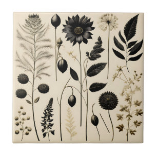Zeitlos floral botanisch fliese