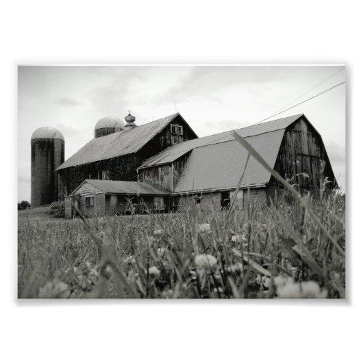 zeitlos fotodruck (Vorne)