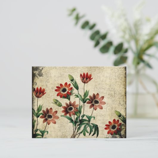 Zeitlose Anemone Postkarte (Stehend Vorderseite)