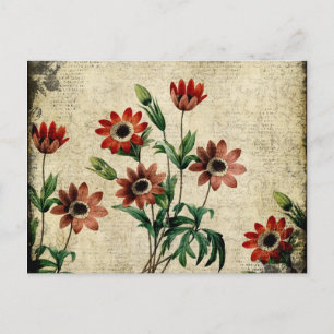 Zeitlose Anemonen Postkarte