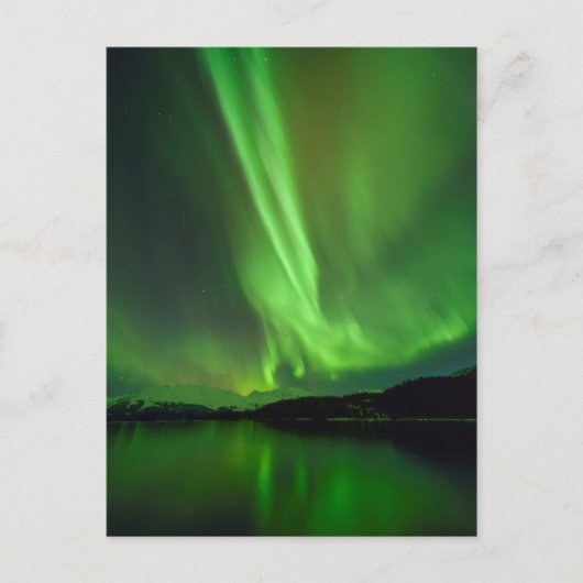 Zeitlose Aurora Postkarte (Vorderseite)