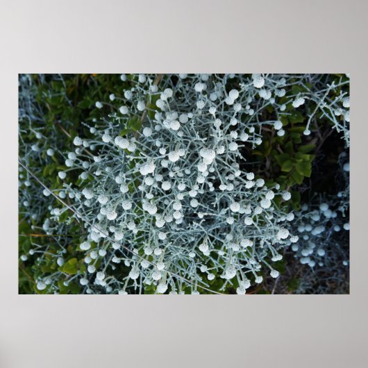 Zeitlose Reise Poster (Vorne)