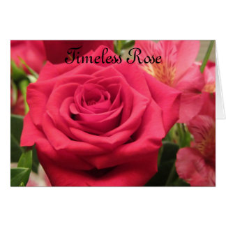 Zeitlose Rose