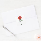 Zeitlose Rote Rose Quadratischer Aufkleber (Umschlag)