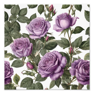 "Zeitlose Schönheit: Lila Vintage Rose der Provinz Fotodruck