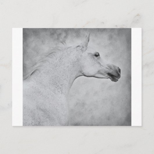 Zeitlose Schönheit Postkarte (Vorderseite)