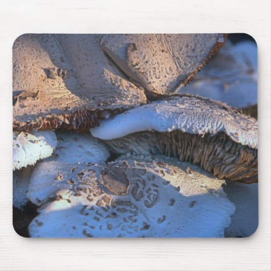 Zeitloser Magnolia Mousepad (Vorne)