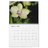 Zeitloser Orchideenkalender Kalender (Feb 2026)