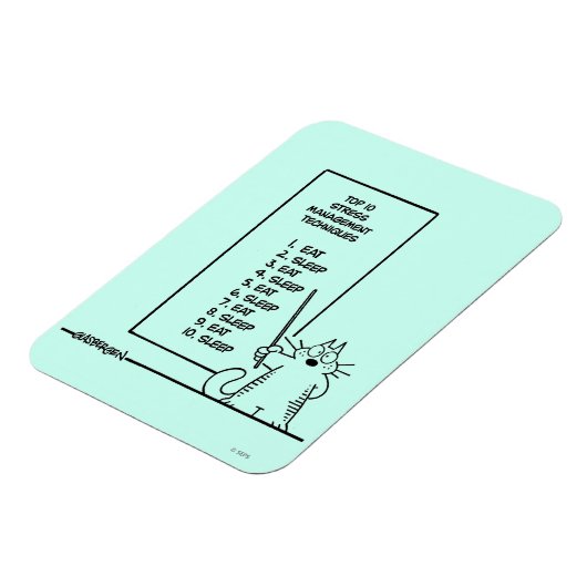 Zeitmanagement Magnet (Linke Seite)