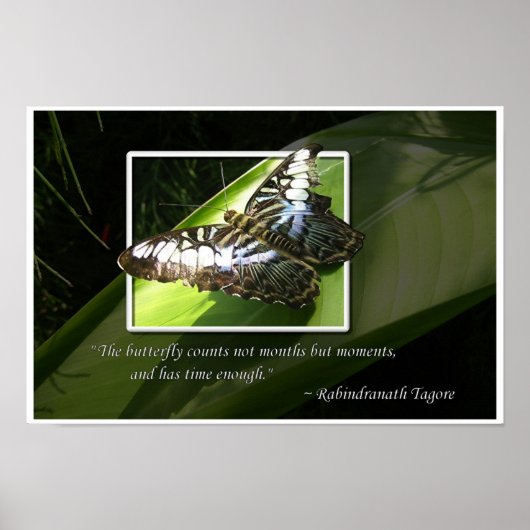 Zeitmomente Poster (Vorne)