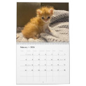 Zeitplan bis 2024 kalender (Feb 2026)