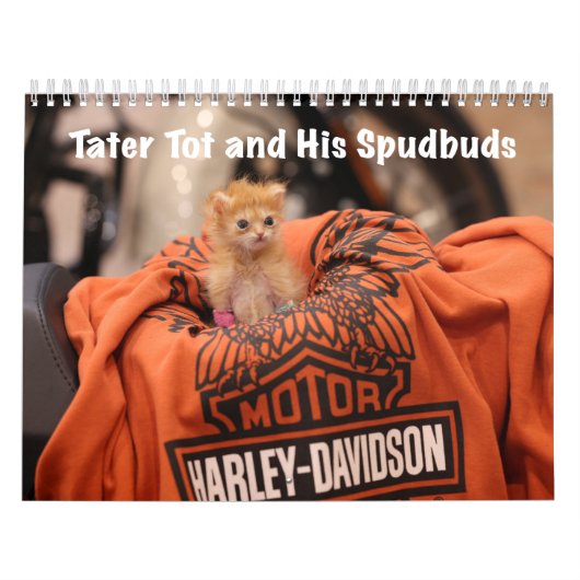 Zeitplan bis 2024 kalender (Titelbild)