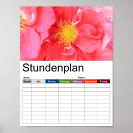 Zeitplan der Bush-Rose Poster