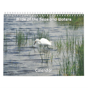 Zeitplan für die Vögel im Meer und in den Gewässer Kalender