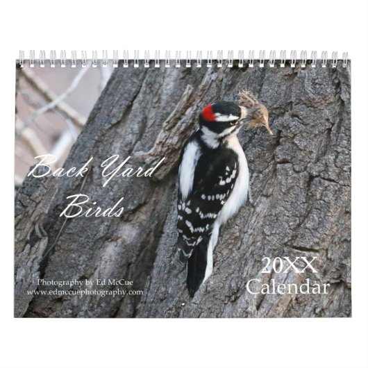 Zeitplan für zurückgebliebene Vögel Kalender (Titelbild)