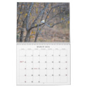 Zeitplan für zurückgebliebene Vögel Kalender (Mär 2026)