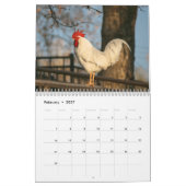 Zeitplan Kalender (Feb 2027)