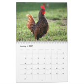 Zeitplan Kalender (Jan 2027)
