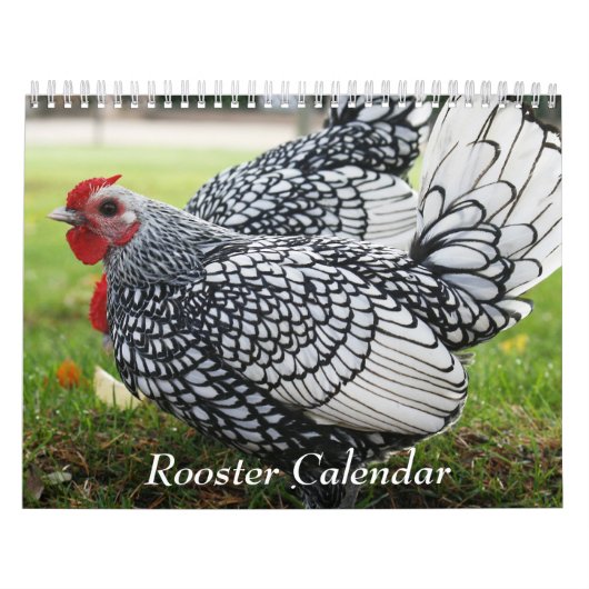 Zeitplan Kalender (Titelbild)