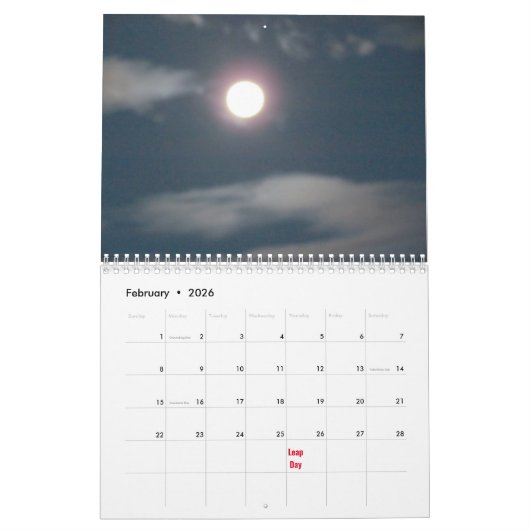 Zeitplan - Leap Year Kalender (Feb 2026)