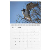Zeitplan Ospreys in Aktion 2023 Kalender (Feb 2027)