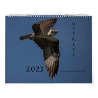 Zeitplan Ospreys in Aktion 2023